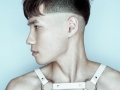AMMON CARVER