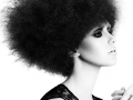 HOB SALONS