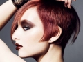 MAHOGANY HAIR
