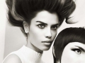 SHANE BENNETT SALON