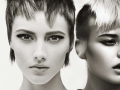 SHANE BENNETT SALON