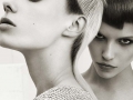 SHANE BENNETT SALON