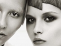 SHANE BENNETT SALON