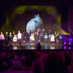 HAIRSTYLE NEWS 2015 – FOTO GALERIJA </br>Stručni seminar: IDEA ACADEMY – KOLEKCIJA AQUA