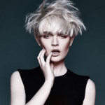 NEIL BARTON<br>Kolekcija Absinthe