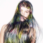 Stevie English<BR>Kolekcija Northern Knights