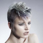 WESTROW<BR>Kolekcija New Dawn