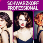 Stručni seminar na velikoj pozornici <br> Schwarzkopf Professional – Essential Looks „Modern Ikon“ kolekcija