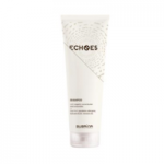 SUBRINA PROFESSIONAL <br> Echoes Conditioner
