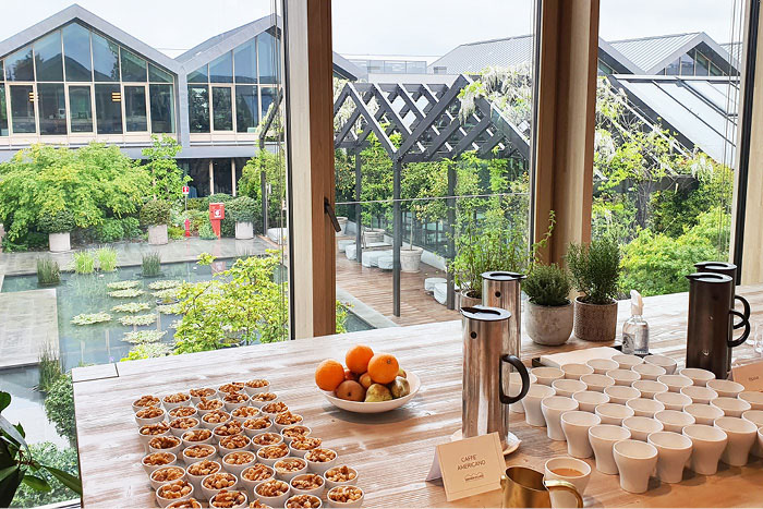 Davines - Romance in Parma - reportaža